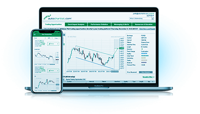 Autochartist Performance Statistics